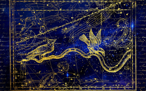 Гороскоп на 27 февраля: козерогам повезет, а стрельцам придется довериться чувствам