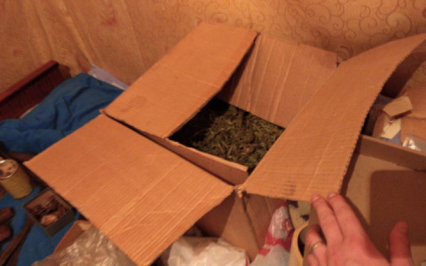 У жителя Юрьев-Польского нашли более килограмма марихуаны