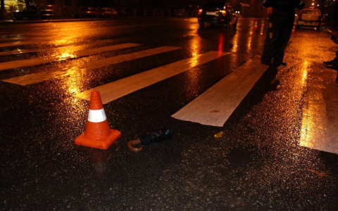 Ночью в Загородном парке насмерть сбили пешехода