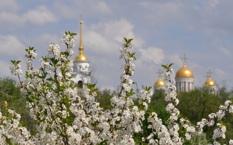 Во Владимир вот-вот придёт настоящая весна