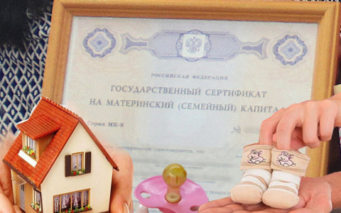 Материнский капитал владимирцам будут оформлять автоматически