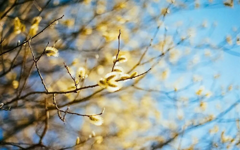 Во Владимир резко придет потепление