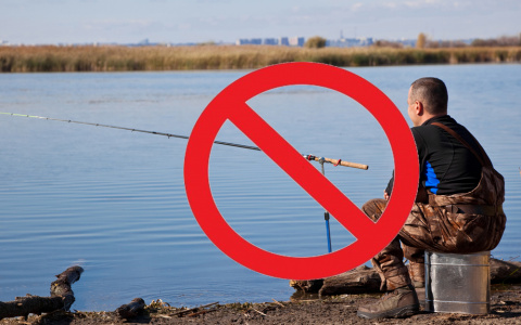 Во Владимирской области запретили рыбачить