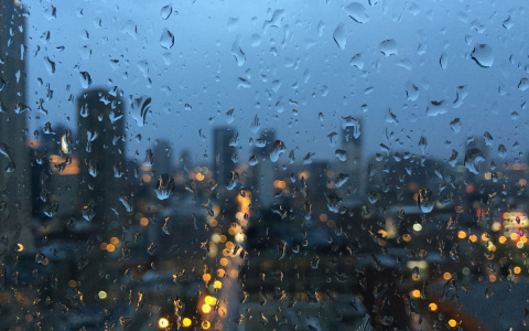 Дожди и ветер: синоптики рассказали о погоде во Владимире на выходных