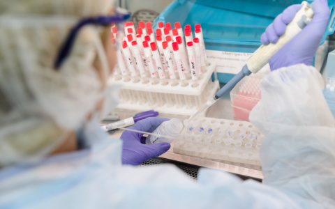 Владимирцы смогут сдать тест на коронавирус в частных лабораториях