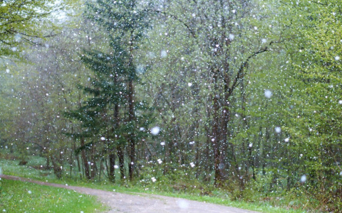 То снег, то ветер. МЧС предупредило об ухудшении погоды во Владимире