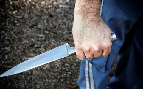 В Александрове гастарбайтер жестоко зарезал женщину