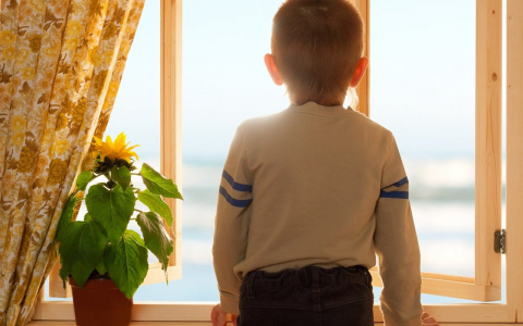 Владимирский педиатр рассказал о важном витамине для детей на самоизоляции