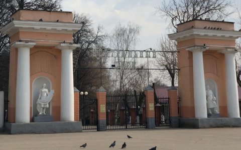 Центральный городской парк стал ловушкой для владимирцев