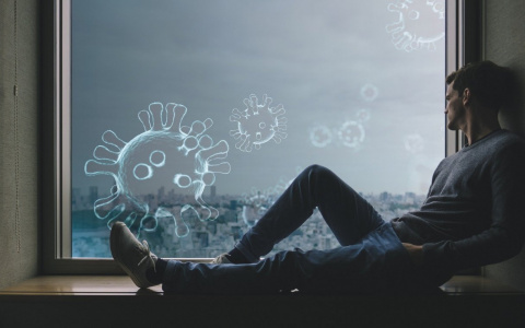 Владимирцы активно не соблюдают режим самоизоляции