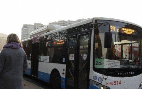 Во Владимире безлимитные проездные продлили на май