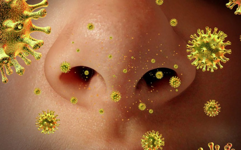 Ученые назвали главный способ передачи коронавируса