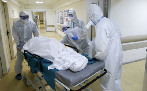 Во Владимирской области выявили сразу 46 новых случаев коронавируса