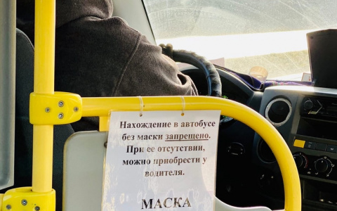 На автобусном маршруте  Владимир-Судогда решили навариться на медицинских масках