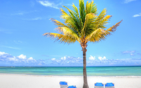 15 жителей Владимира из-за коронавируса застряли в Тайланде