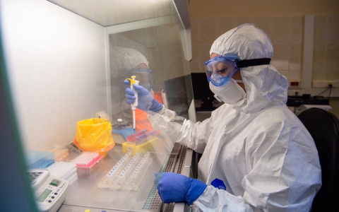 Во Владимирской области провели более 20 тысяч тестов на коронавирус