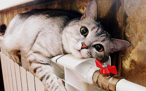 Во Владимире назвали дату окончания отопительного сезона