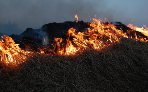Во Владимирской области с начала года произошло около 500 ландшафтных пожаров