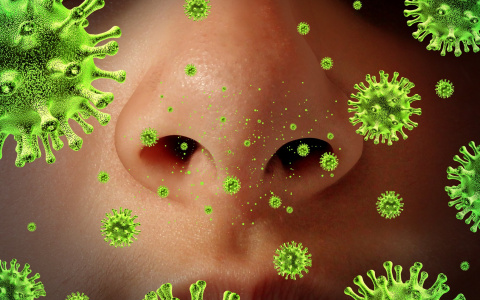 Стало известно, как вырабатывается иммунитет к коронавирусу