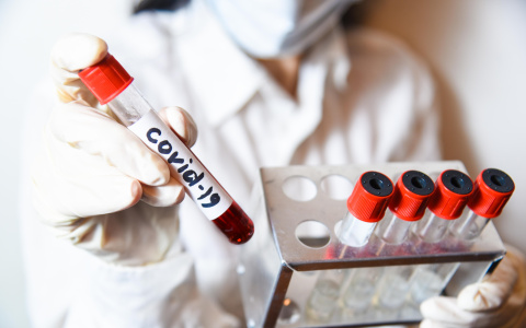 Во Владимирской области провели почти 29 тысяч тестов на коронавирус