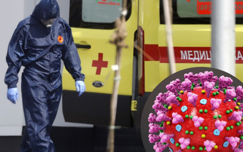 Где во Владимирской области больше всего заразившихся коронавирусом?