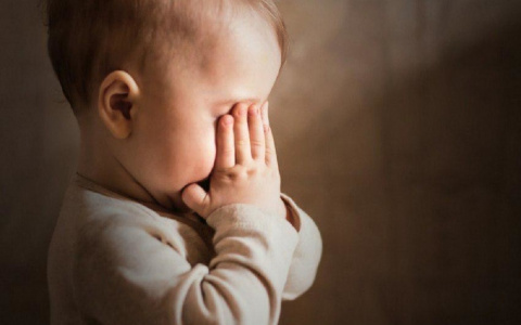 Сайт Госуслуг обвалился после заявления Путина о выплатах детям