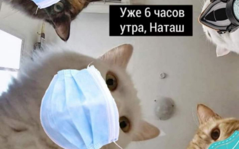 Мемы, которые взорвали интернет своей популярностью