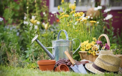 Удачные ответы на дачные вопросы