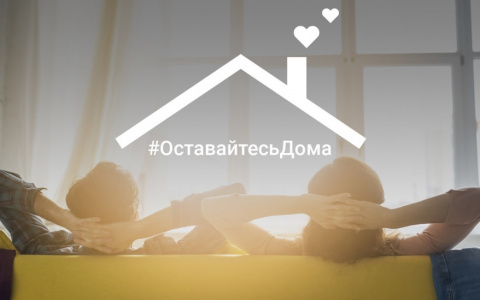 Как провести карантин с пользой?