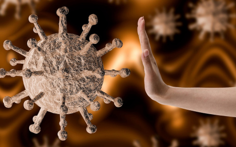 Никакой паники! Подборка хороших новостей про коронавирус