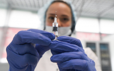 Стало известно, кому в первую очередь сделают прививку от коронавируса