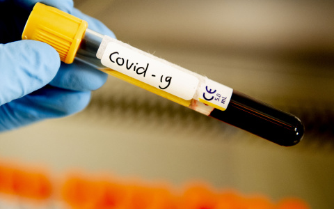 Полицейские будут штрафовать за отказ от тестирования на коронавирус