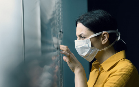 Уровень самоизоляции во Владимире остается рекордно низким