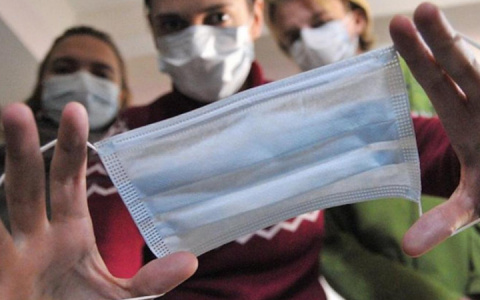 Почти 900 жителей Владимирской области заплатят за то, что вышли из дома