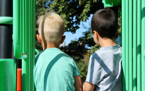 Будут ли работать летние лагеря для владимирских детей?