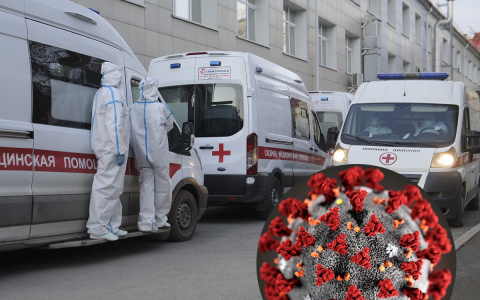 Владимир сильно оторвался от Петушков по количеству зараженных коронавирусом