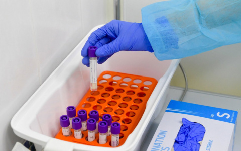 Владимирцы неделями ждут результаты тестов на коронавирус