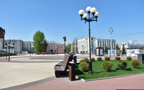 В центре Владимира появится зеленая аллея