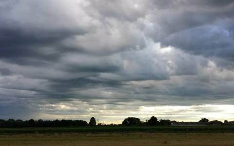 Владимирцев ждет небольшой дождь