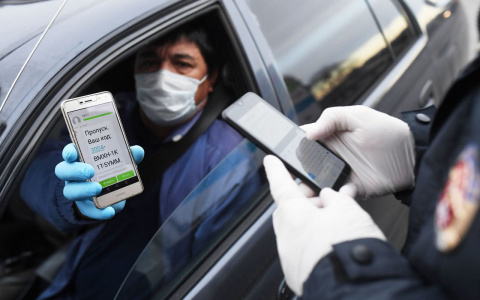 Что будет с персональными данными владимирцев после отмены цифровых пропусков?