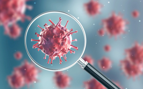 Где во Владимирской области больше всего заразившихся коронавирусом?