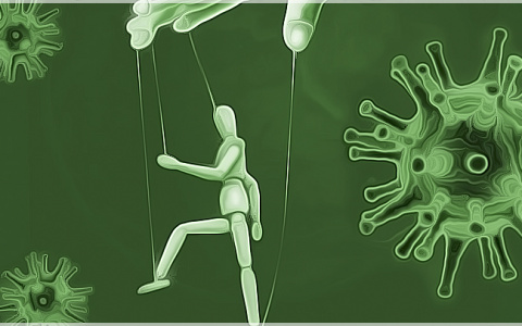 Многие владимирцы отказываются верить в эпидемию коронавируса