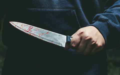 В Меленках сын убил своего отца, спасая мать