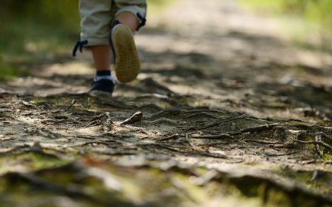 В Ковровском районе ребенок поссорился с мамой и убежал из дома