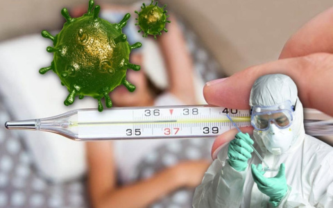 Стало известно, какие районы Владимирской области больше всего страдают от коронавируса