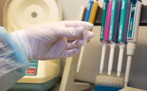 Владимирцев начали тестировать на антитела к коронавирусу