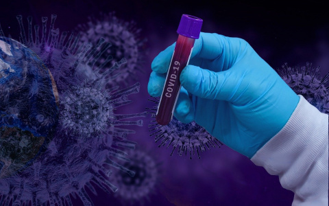 Во Владимирской области почти 3 тысячи случаев заболевания коронавирусом