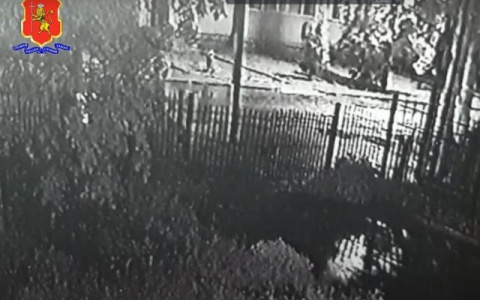 Опубликована запись с камер наблюдения роддома, где подбросили младенца