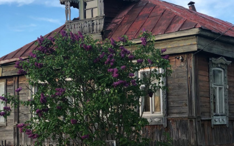 Во Владимирской области выберут самую красивую деревню