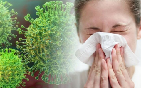 Названа фаза максимальной заразности коронавируса